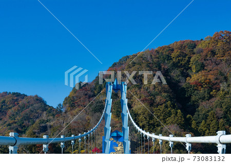 紅葉の竜神大吊橋 紅葉の竜神大吊橋 73083132