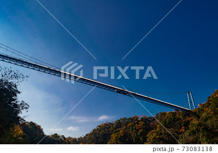 紅葉の竜神大吊橋 73083138