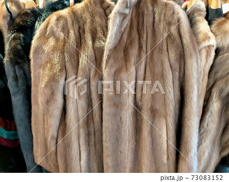 毛皮のコート 73083152