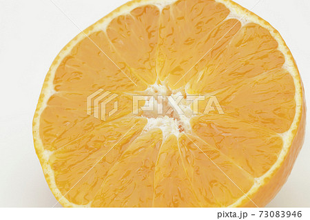 半分にカットされた紅まどんな 半分にカットされた紅まどんな 73083946