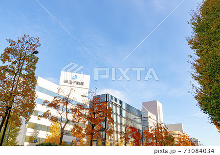 新潟駅前 東大通りのオフィスビル街 (秋) 73084034