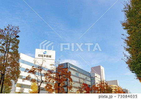 新潟駅前 東大通りのオフィスビル街 (秋) 73084035