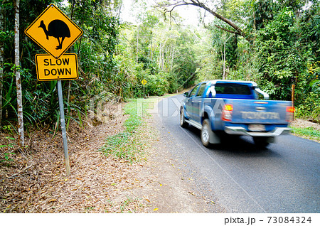 ヒクイドリ注意の標識 73084324