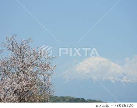 サクラと富士山(日本の美) サクラと富士山(日本の美) 73086220