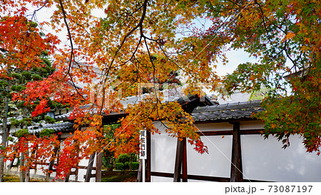 滋賀院門跡 晩秋の紅葉 73087197