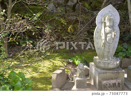 長谷寺（神奈川県鎌倉市） 73087773