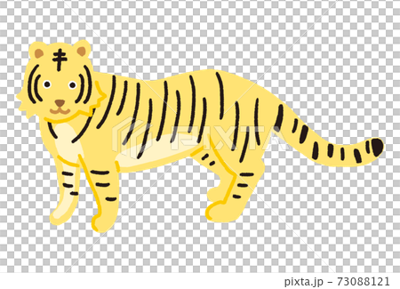 Illustration  Yellow Tiger