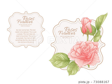 Set of face and back labels for products 73088167