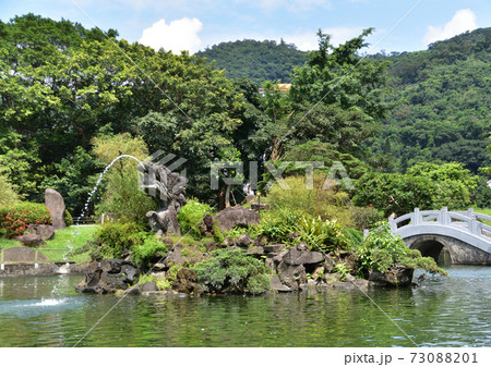 庭園の池 73088201