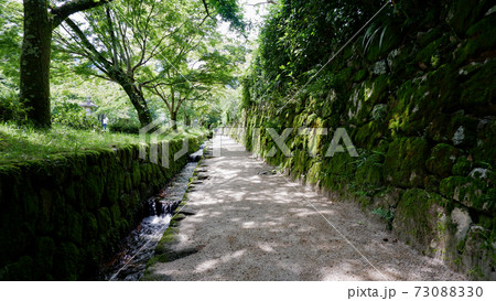 大津 坂本 日吉馬場の緑 大津 坂本 日吉馬場の緑 73088330