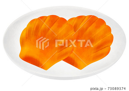 マドレーヌのイラスト素材