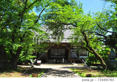 世田谷区　九品仏浄真寺の本堂と新緑 73089783
