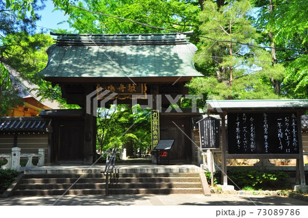 世田谷区 九品仏浄真寺の総門と新緑 世田谷区 九品仏浄真寺の総門と新緑 73089786