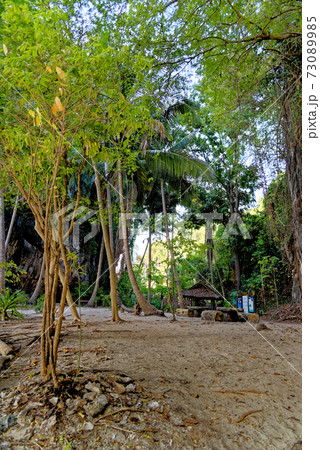 Wooden swing hang under tree at the beach 73089985