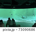 川崎水族館 73090686