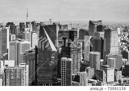 東京　都市風景イメージ　モノクロ 73091138