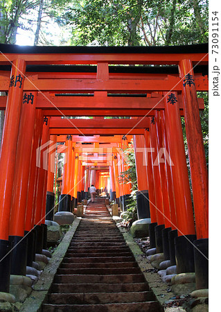 京都伏見稲荷大社稲荷山にある鳥居と階段の写真素材