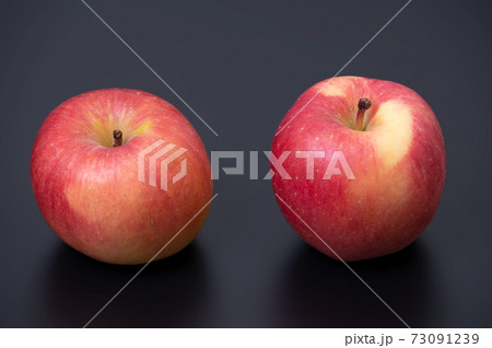 こみつ 蜜入りりんご　スタジオ撮影／黒バック 73091239
