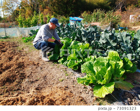 WITH CORONA WITH CORONA 73091323