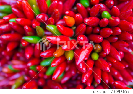 Red hot chilly pepers closeup background Red hot chilly pepers closeup background 73092657
