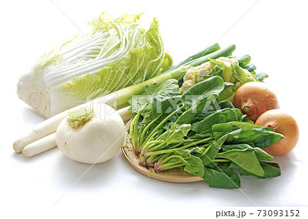野菜いろいろ 73093152