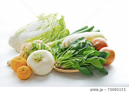 野菜いろいろ 73093153