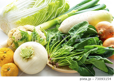野菜いろいろ 73093154