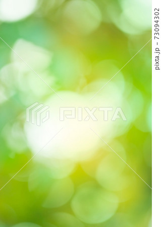 Green bokeh background. Defocused abstract green background. 73094302