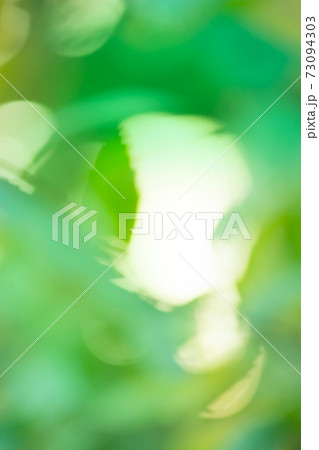 Green bokeh background 73094303