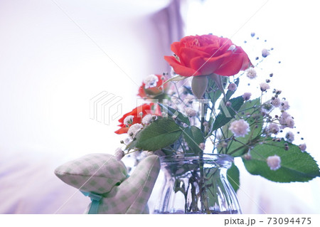 花のある日常を 花のある日常を 73094475