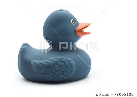 Closeup of blue plastic rubber duch on white background 73095106