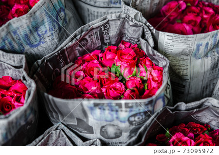 Rose - Flower, Red, Bouquet, Valentine's Day - Holiday, Flower Rose - Flower, Red, Bouquet, Valentine's Day - Holiday, Flower 73095972
