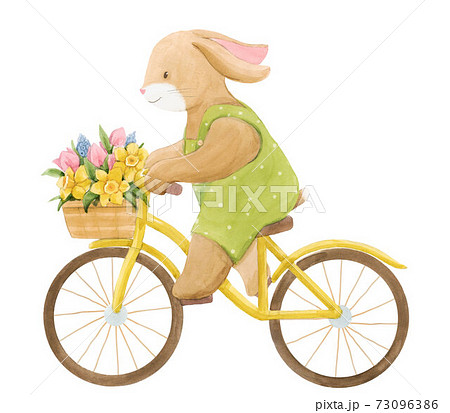 Beautiful stock illustration with watercolor cute bunny boy on bike with basket of flowers. 73096386