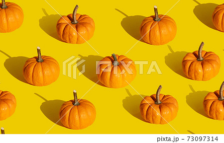Pumpkin seamless pattern on orange background. Thanksgiving pattern. Autumn wallpaper. Fall background. Pumpkin harvest 73097314