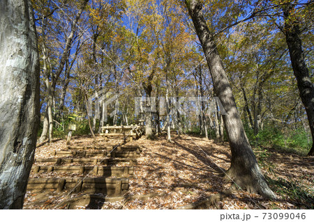 紅葉の狭山丘陵　あそびの森の入口の坂 73099046