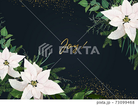 Winter season vector invite, greeting, banner template. White poinsettia flower, Christmas spruce tree branch, eucalyptus green leaves, golden glitter frame. Floral art Illustration on navy background 73099468