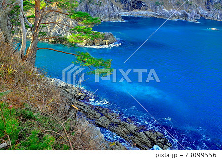 岩手県大船渡市三陸町越喜来烏頭　吉浜湾の紺青の入り江の岩礁に打ち寄せる波 73099556