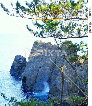 三陸復興国立公園　岩手県大船渡市碁石海岸　潮吹き岩 73099659