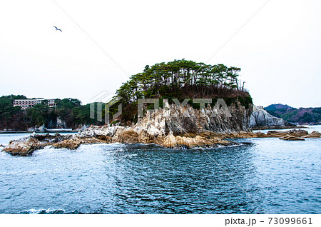 三陸復興国立公園 浄土ヶ浜 みやこ浄土ヶ浜遊覧船 三陸復興国立公園 浄土ヶ浜 みやこ浄土ヶ浜遊覧船 73099661