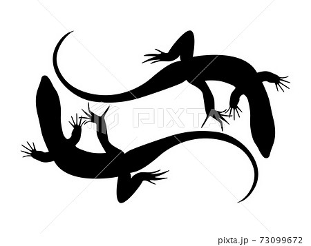 Lizard Silhouette Stock Vector Illustration のイラスト素材