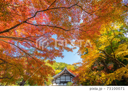 秋の南禅寺 秋の南禅寺 73100071