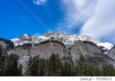 Green pine tree forest and snow-covered mountain. Blue sky and white clouds in the background. Beautiful natural scenery. 73100211
