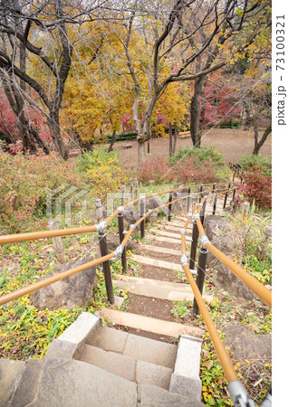 山手線内最高峰箱根山の紅葉 73100321