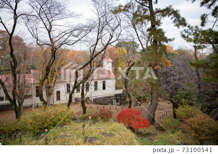秋の戸山教会 73100541