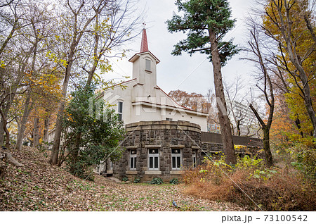 秋の戸山教会 73100542