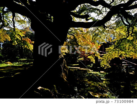 西善寺の風景 73100984