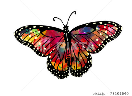 The abstract butterfly is multicolored. Vector illustration 73101640