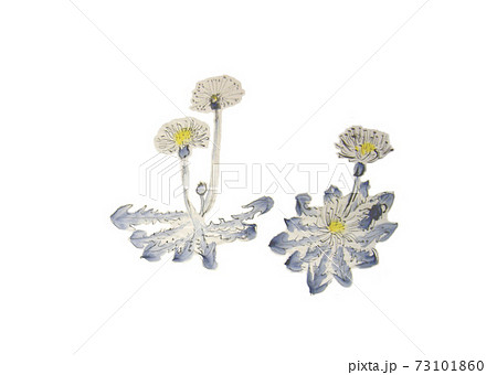 春爛漫　満開のタンポポ 73101860