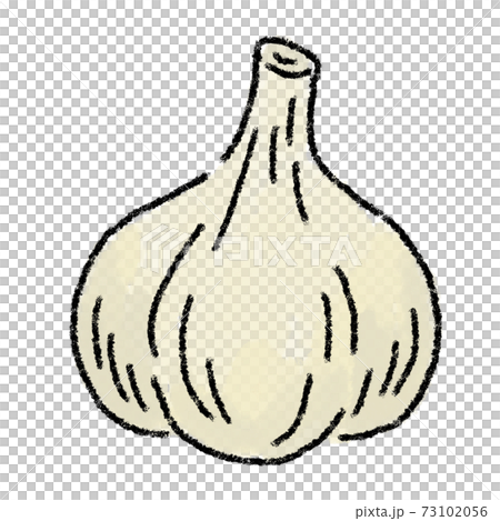 にんにく イラスト 水彩 手描きのイラスト素材