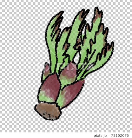 Taranome illustration watercolor hand-painted - Stock Illustration